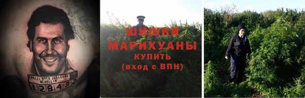 PSILOCYBIN Абаза